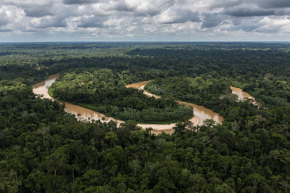 Amazon Forest Amazon Forest